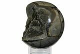 Polished Septarian Geode Sphere - Madagascar #145262-1